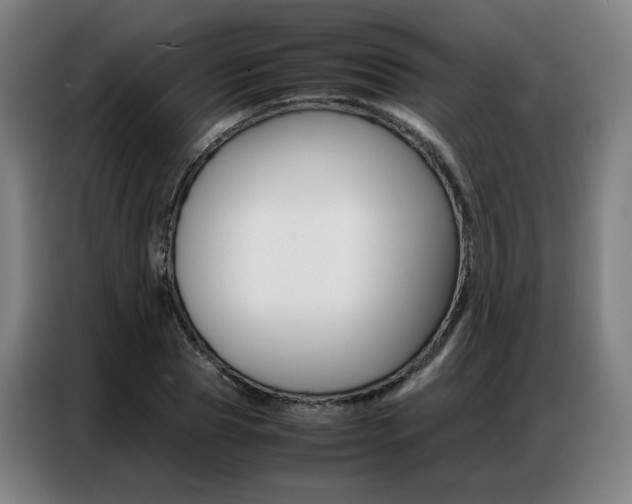 X0000087360929200704200822