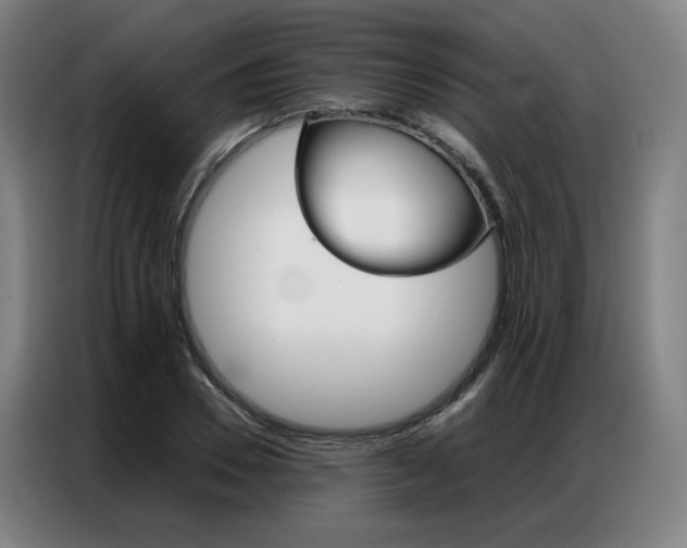 X0000087360930200704200822