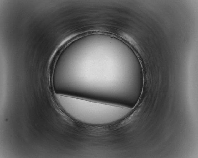 X0000087360931200704200822