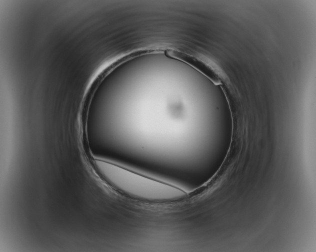 X0000087360936200704200823