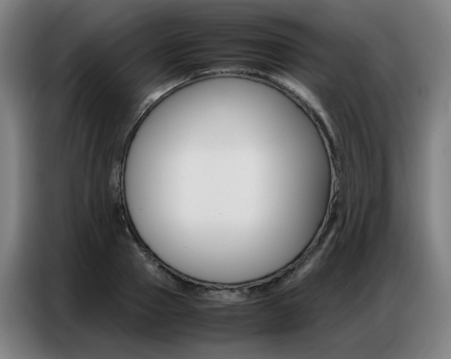 X0000087360937200704200823