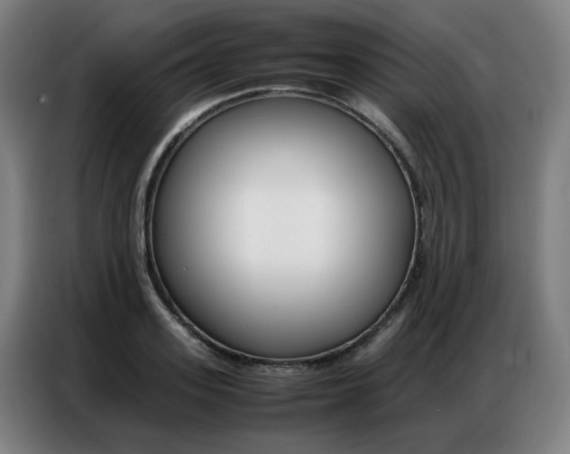 X0000087360939200704200823