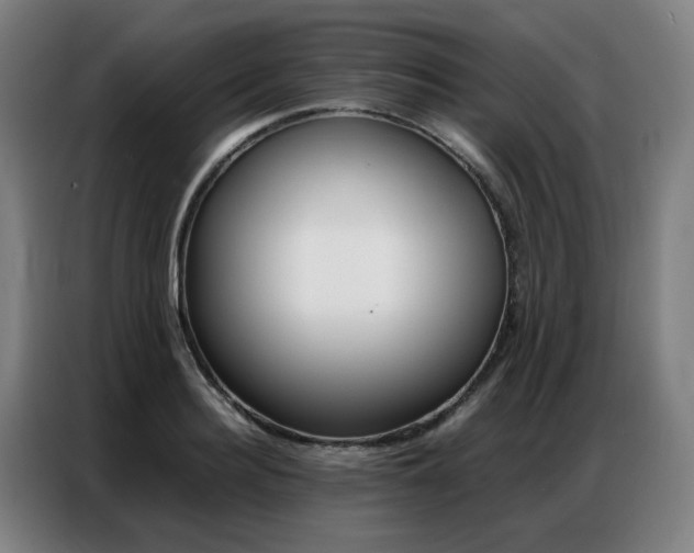 X0000087360940200704200823