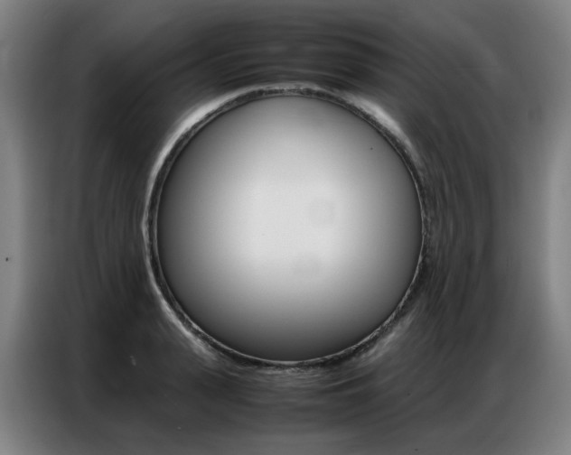 X0000087360943200704200823