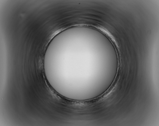 X0000087360945200704200823