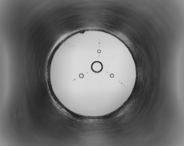 X0000087360950200704200823