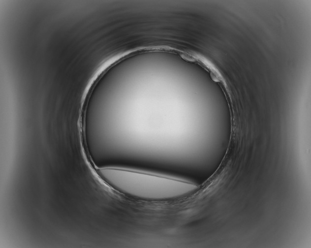 X0000087360951200704200823