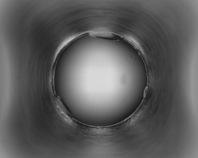 X0000087360952200704200823