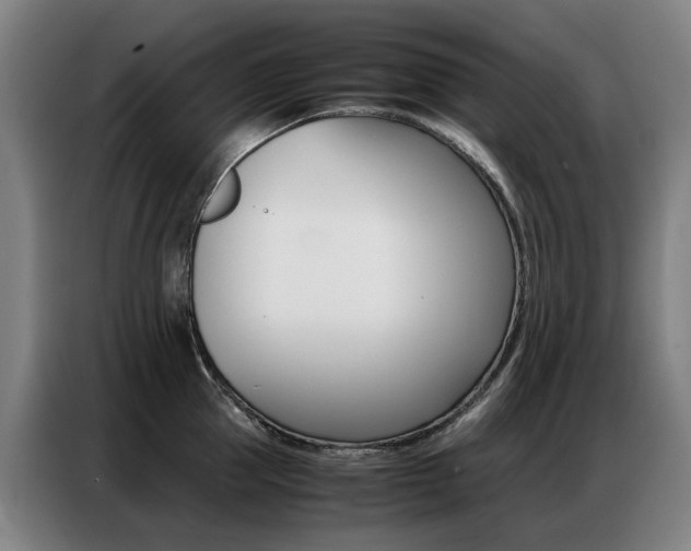X0000087360953200704200823