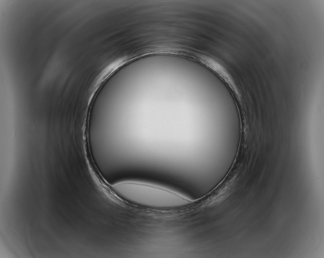 X0000087360954200704200823