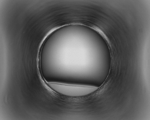 X0000087360955200704200823