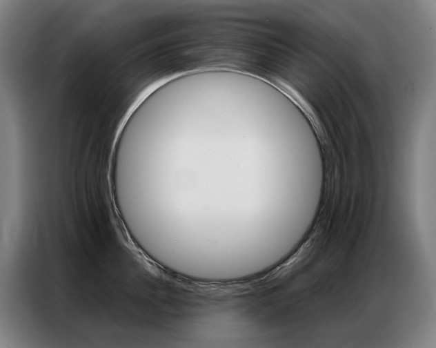 X0000087360956200704200823