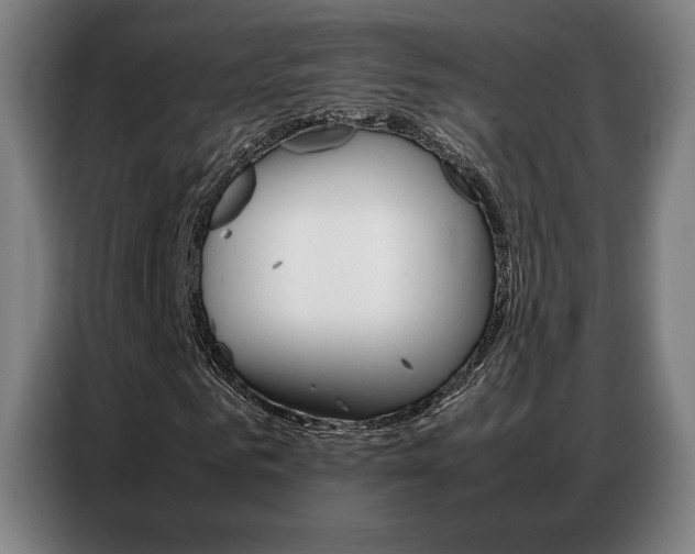 X0000087360961200704200822