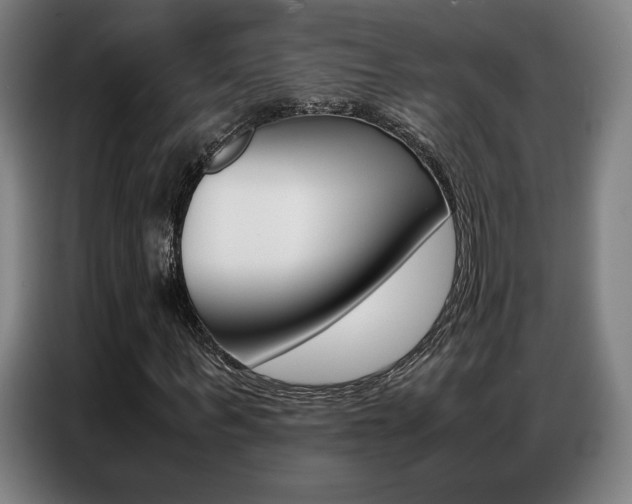 X0000087360963200704200822