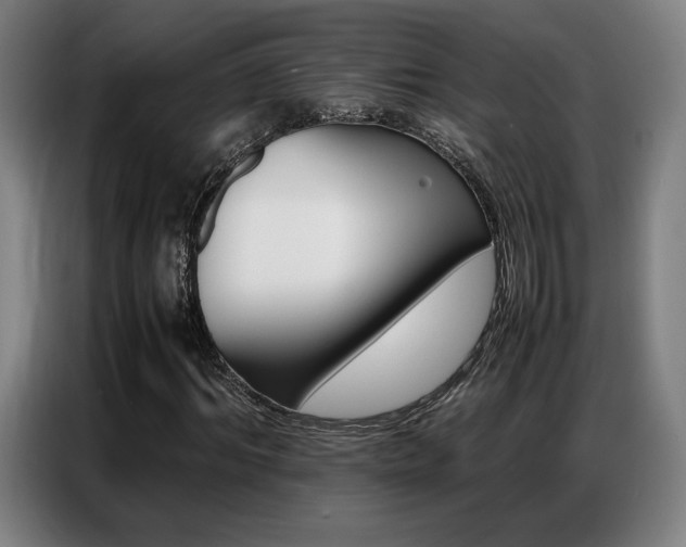 X0000087360964200704200822