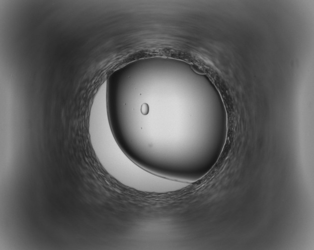 X0000087360965200704200822