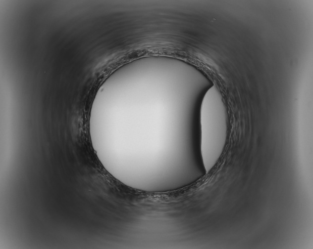 X0000087360966200704200822