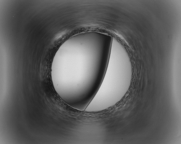 X0000087360967200704200822
