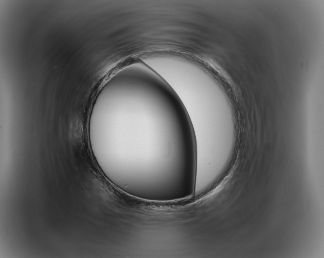 X0000087360969200704200822