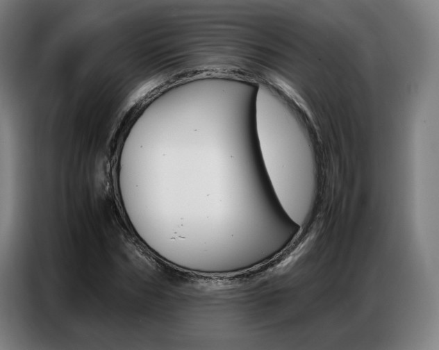 X0000087360970200704200822