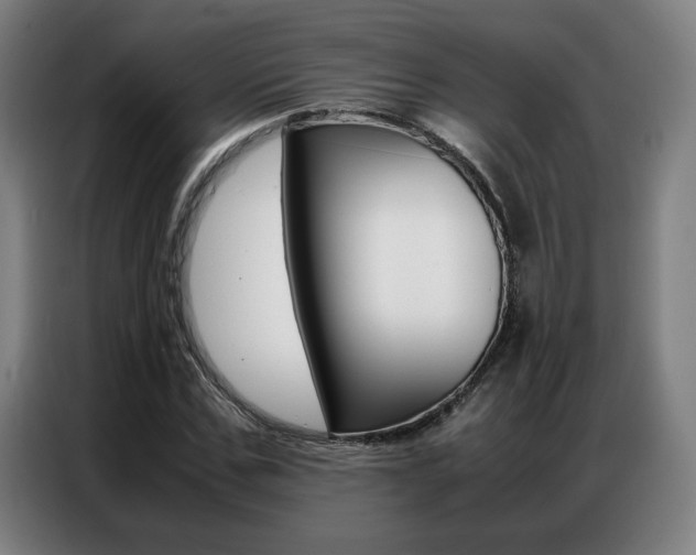 X0000087360971200704200822