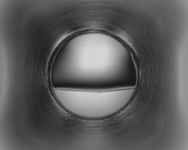 X0000087360972200704200822