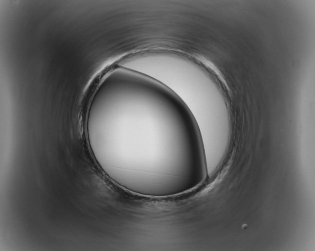 X0000087360973200704200822