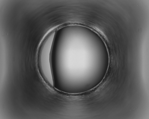 X0000087360976200704200822