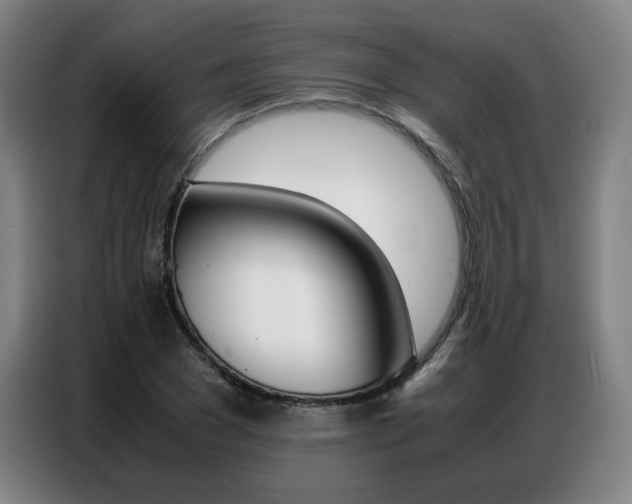 X0000087360977200704200822