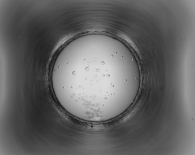 X0000087360978200704200822