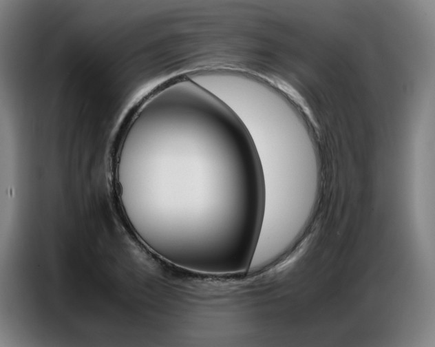 X0000087360981200704200822