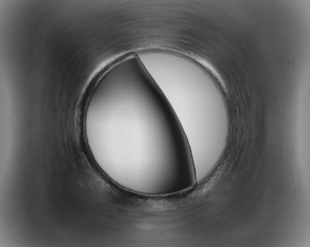 X0000087360983200704200822