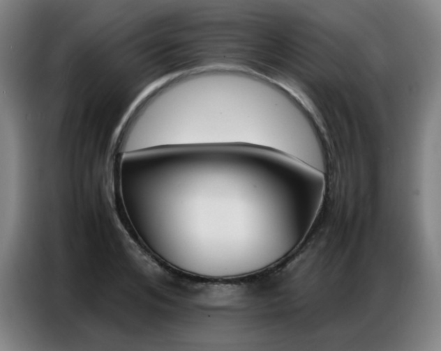 X0000087360984200704200822