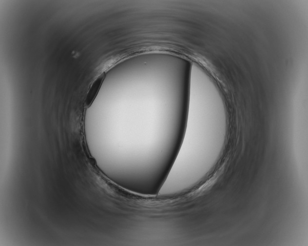 X0000087360985200704200822