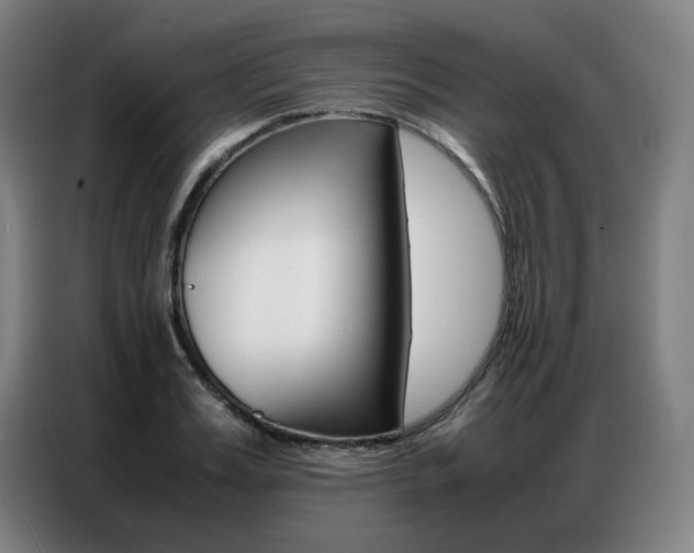 X0000087360987200704200822