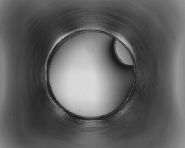 X0000087360988200704200822