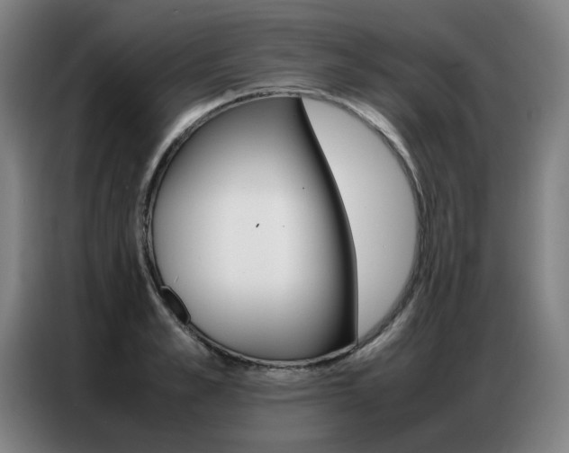 X0000087360989200704200822