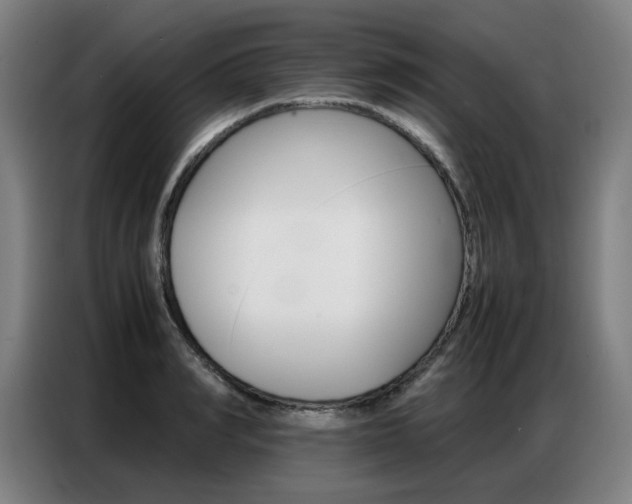 X0000087360990200704200822