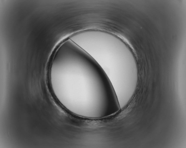 X0000087360991200704200822