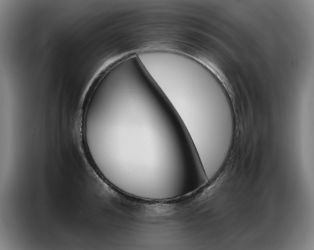 X0000087360992200704200822