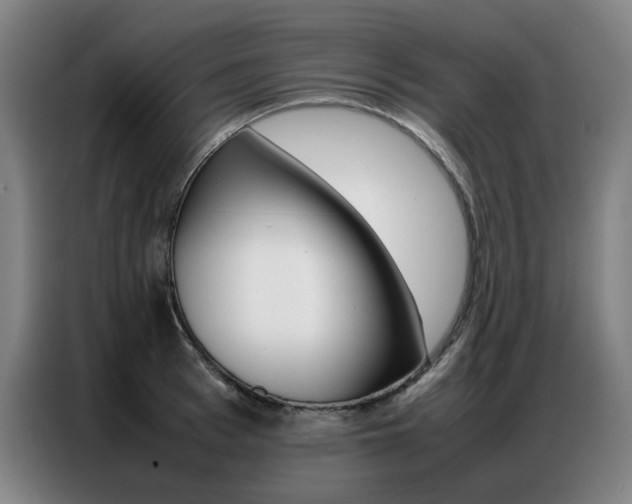 X0000087360993200704200822