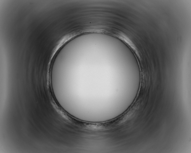X0000087360994200704200822