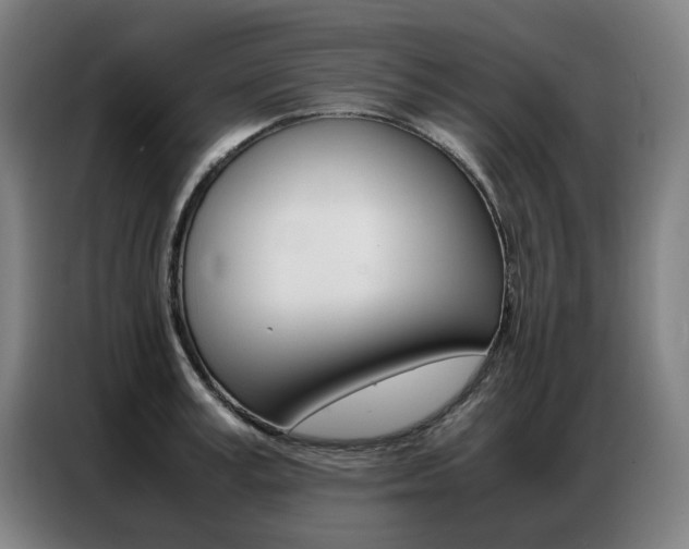 X0000087360995200704200822