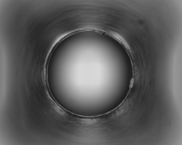 X0000087360996200704200822