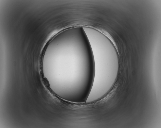 X0000087360997200704200822