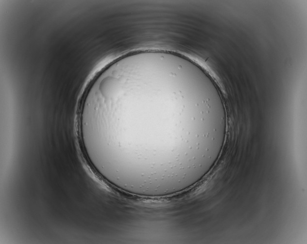 X0000087360998200704200822