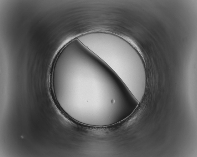 X0000087360999200704200822