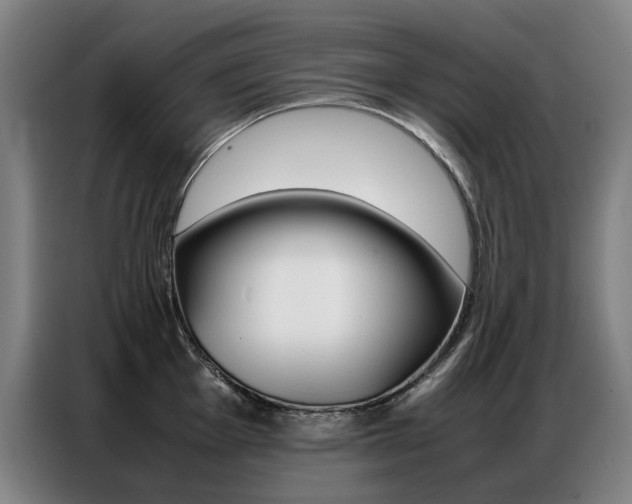 X0000087361001200704200822