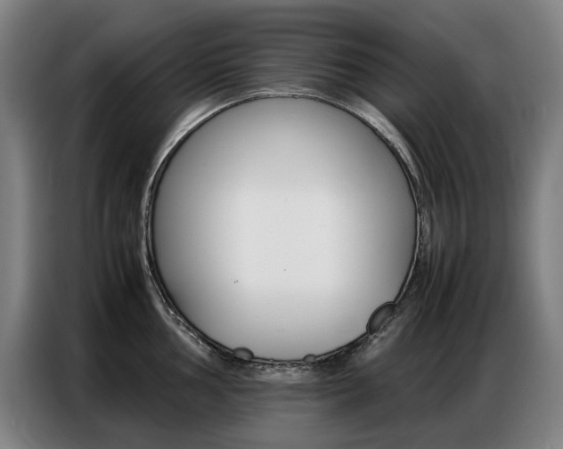 X0000087361002200704200822