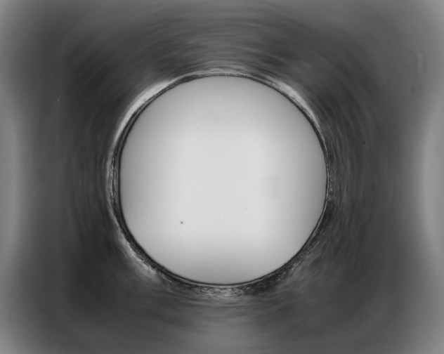 X0000087361003200704200822